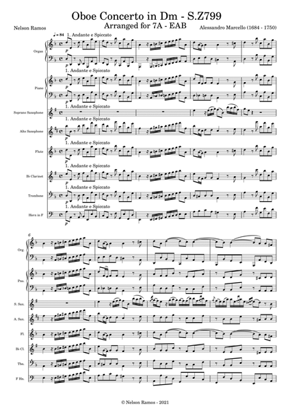Oboe Concerto in Dm - S.Z799 - Score Only image number null