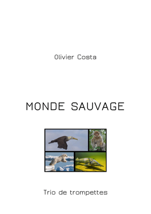 Book cover for MONDE SAUVAGE - 4 TRUMPET TRIOS