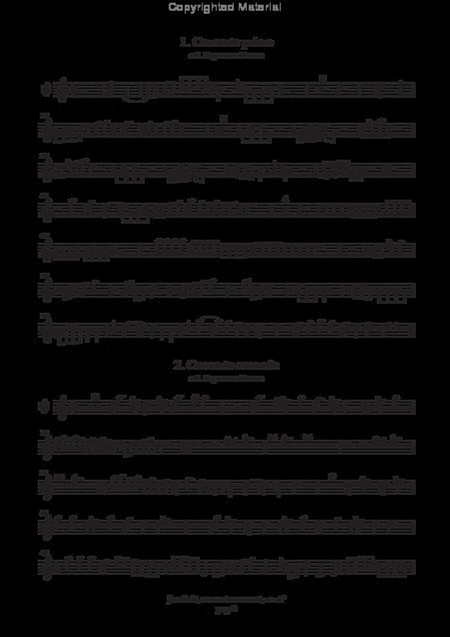 Canzoni e concerti (ms, D-B, 1627) Basso Continuo scores gallery preview page 4