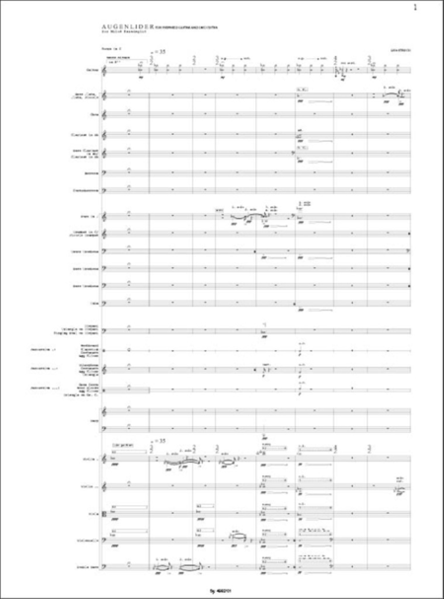 AUGENLIDER Orchestra scores gallery preview page 2