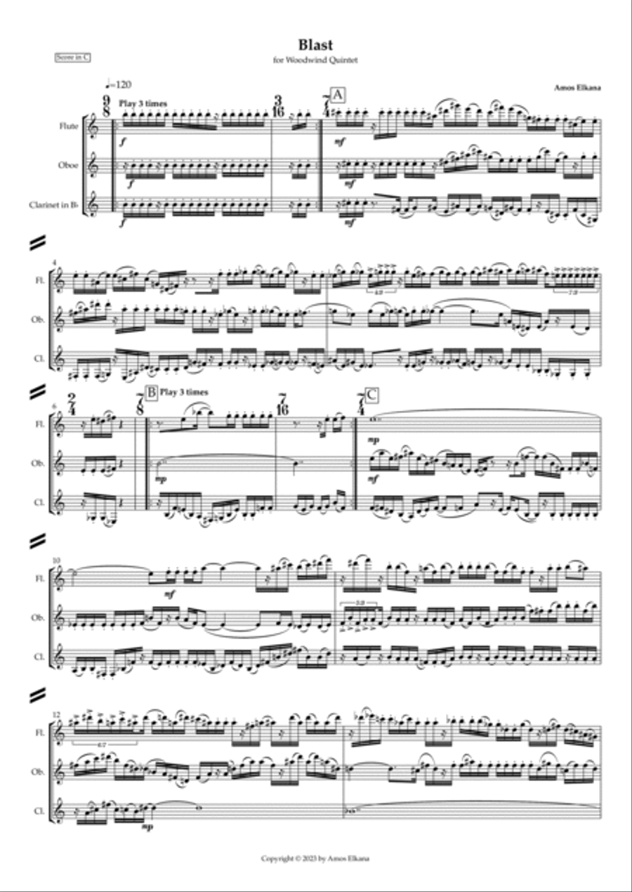 Blast - Score Only Woodwind Quintet scores gallery preview page 3