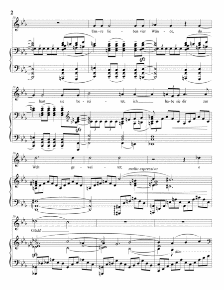 STRAUSS: Befreit, Op. 39 no. 4 (transposed to C minor)