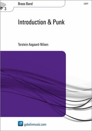 Introduction & Punk
