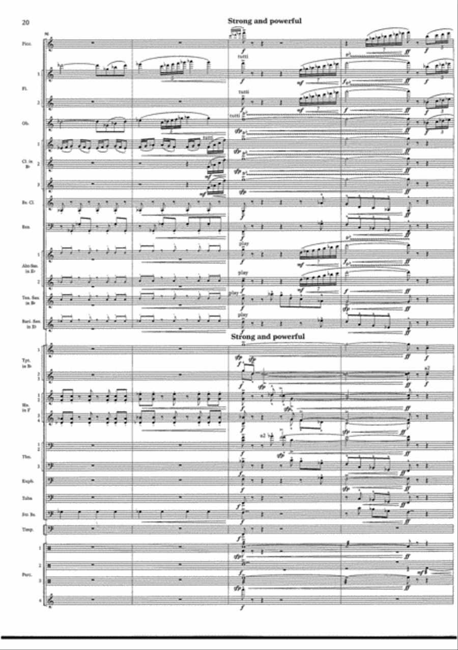 Cry of the Last Unicorn Concert Band scores gallery preview page 20