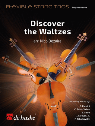 Book cover for Discover the Waltzes