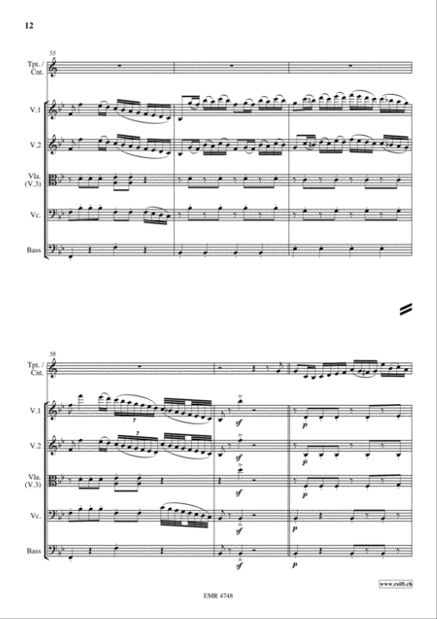 Variations On Bellini's Norma String Orchestra scores gallery preview page 12