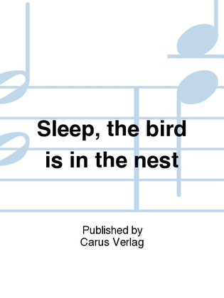 Sleep, the bird is in the nest