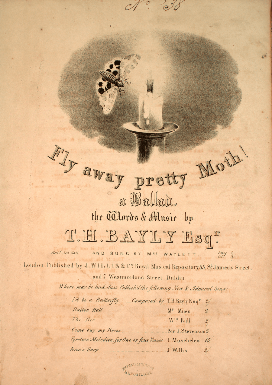 Fly Away Pretty Moth! A Ballad