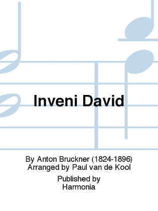 Book cover for Inveni David