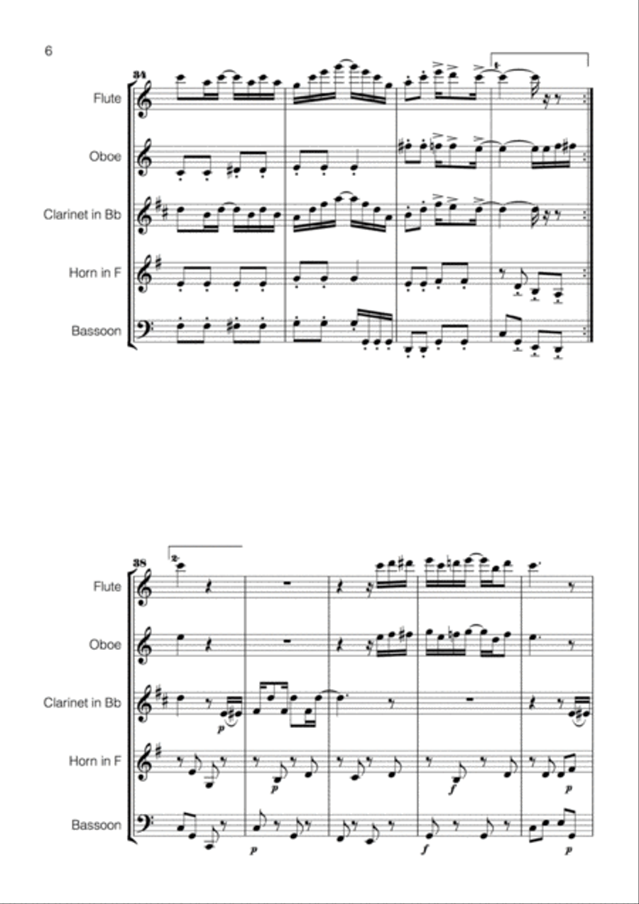 Scott Joplin Suite for Wind Quintet Woodwind Quintet scores gallery preview page 6