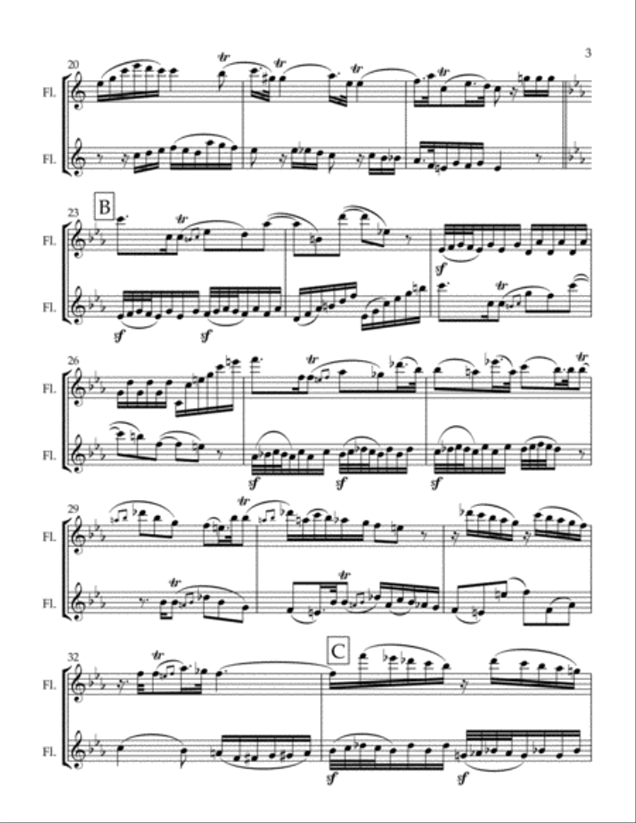 Duos Concertans Op. 10 #1 Movement 2 Flute Duet scores gallery preview page 3