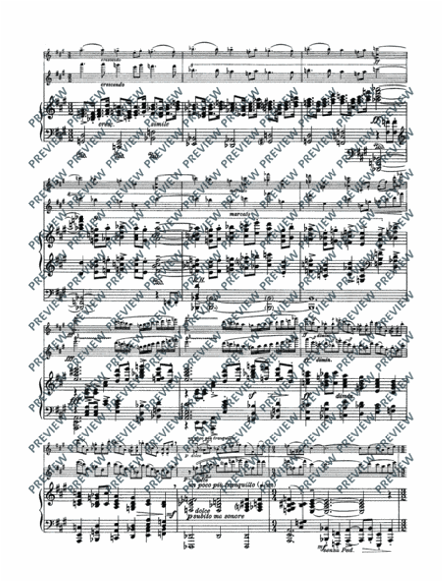 Variations on a theme by Edvard Grieg Violin Solo scores gallery preview page 11