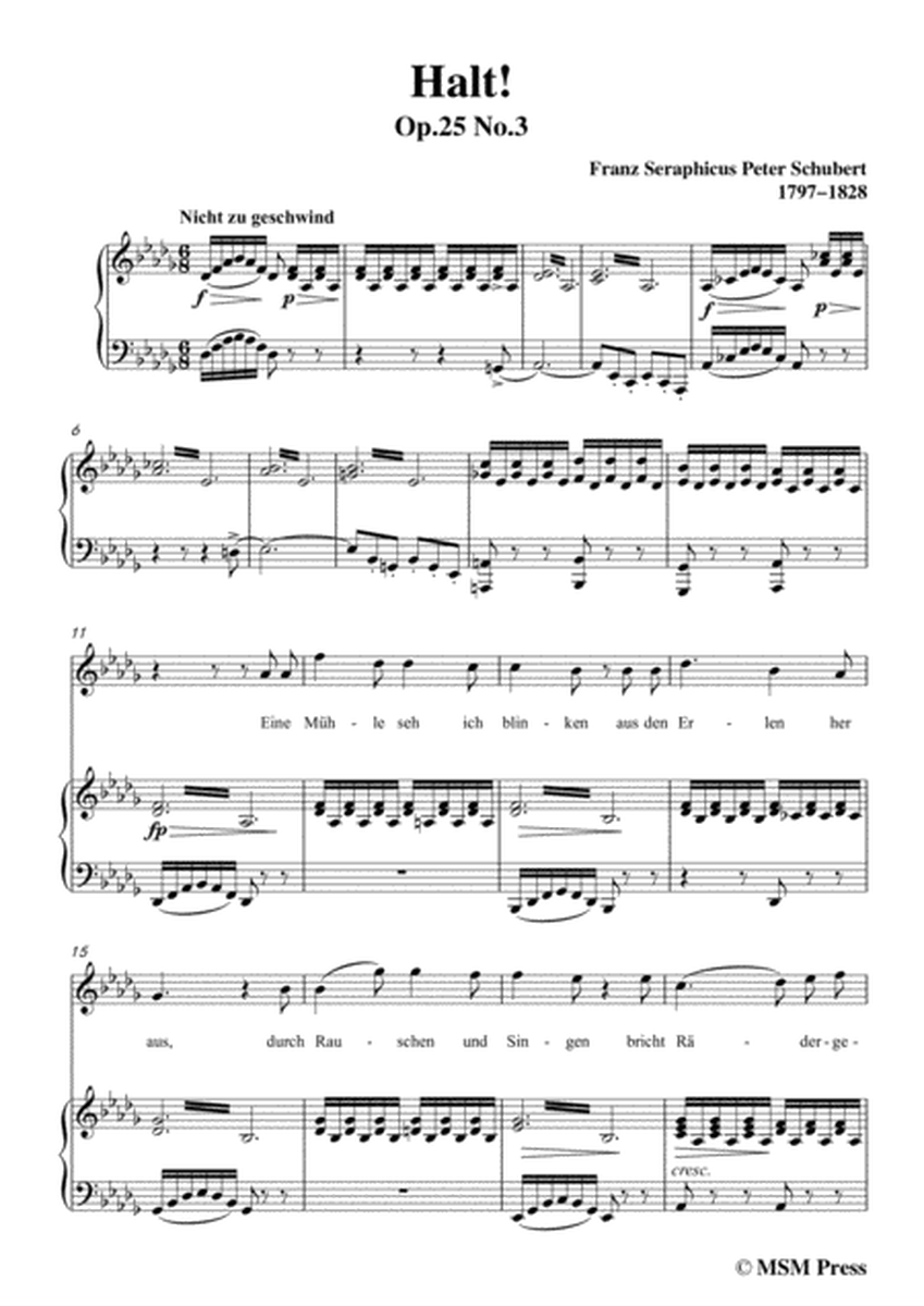 Schubert-Halt!,in D flat Major,Op.25 No.3,for Voice and Piano image number null