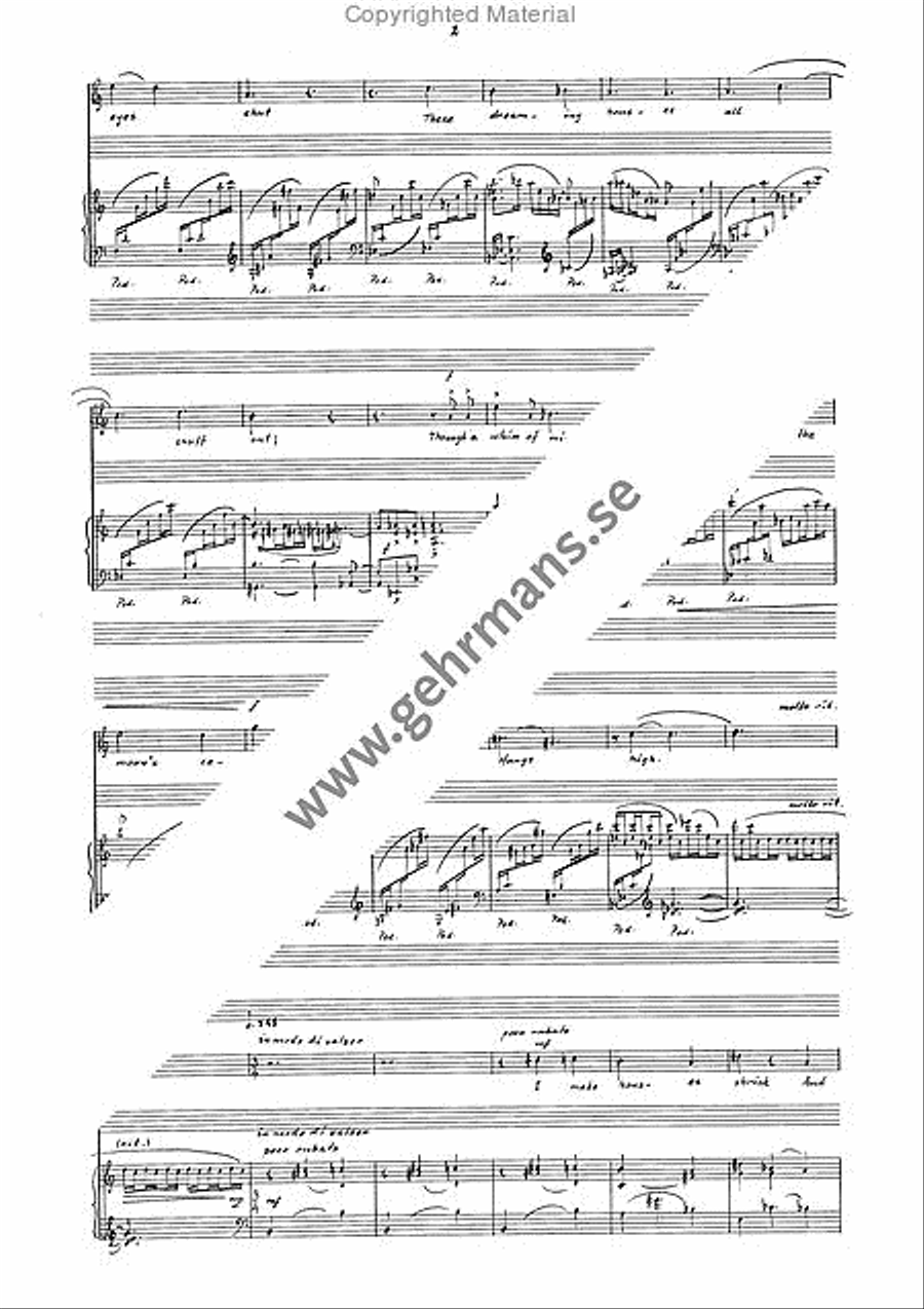 Soliloquy of the Solipsist Voice scores gallery preview page 3