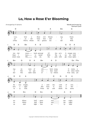 Lo, How a Rose E'er Blooming (Key of D Major)