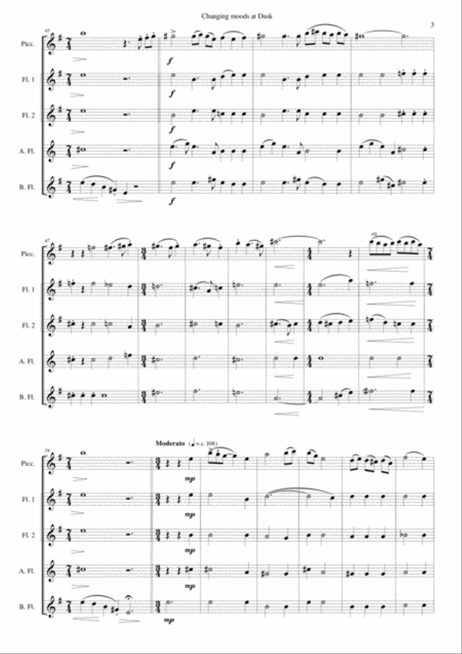 Changing moods at dusk for flute and piccolo quintet Piccolo scores gallery preview page 3