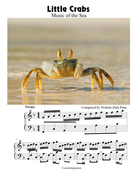 "Little Crabs" The Music of the Sea image number null
