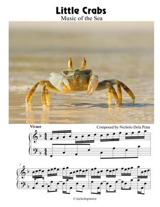 "Little Crabs" The Music of the Sea