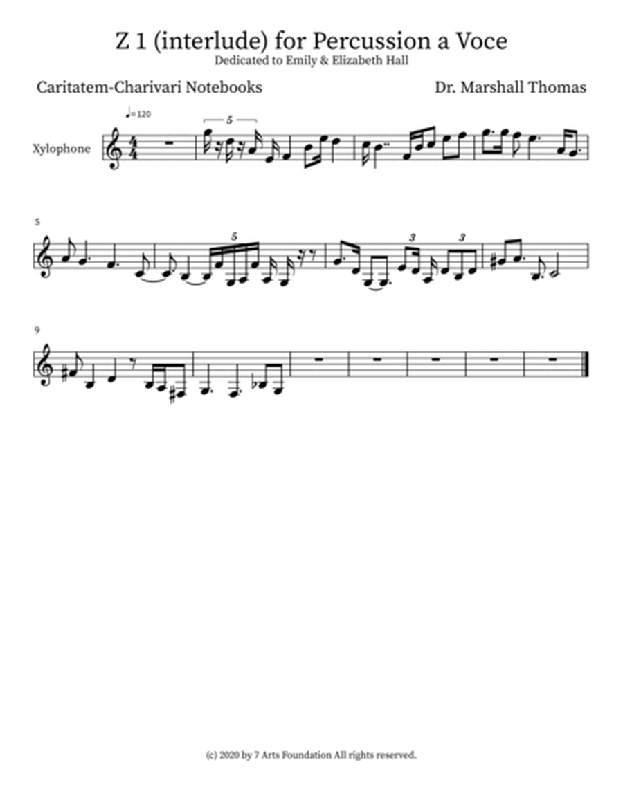 Z 1 (interlude) for Percussion a Voce