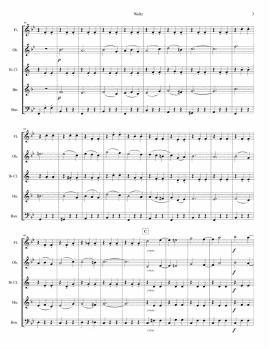 Waltz from Sleeping Beauty Woodwind Quintet scores gallery preview page 3