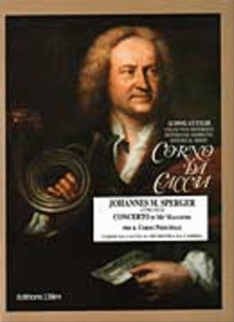 Concerto Es-Dur Chamber Orchestra scores gallery preview page 1