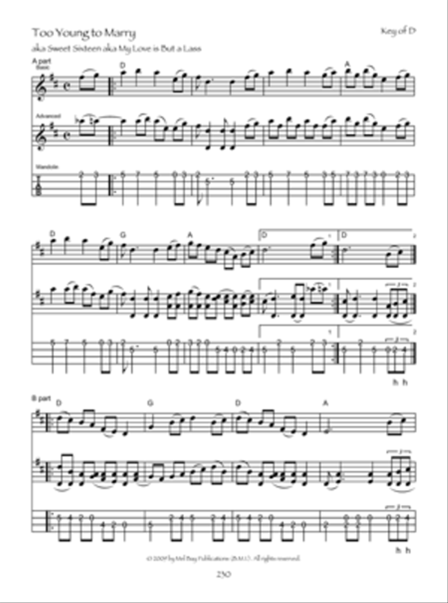 Old-Time Festival Tunes for Fiddle & Mandolin Violin scores gallery preview page 6