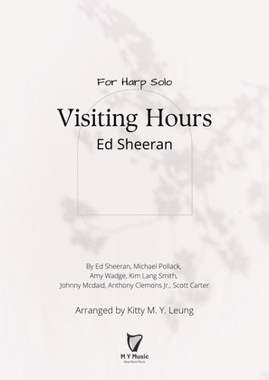 Book cover for Visiting Hours