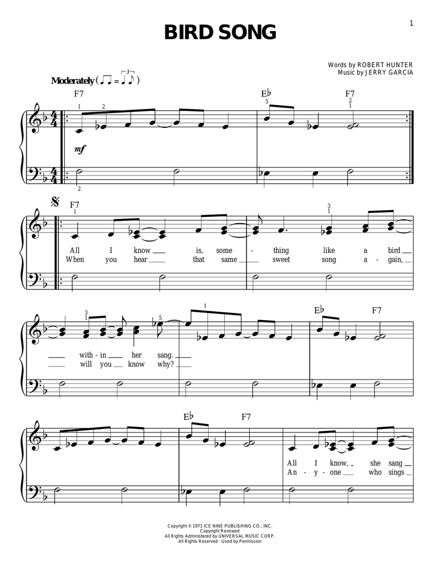 Bird Song