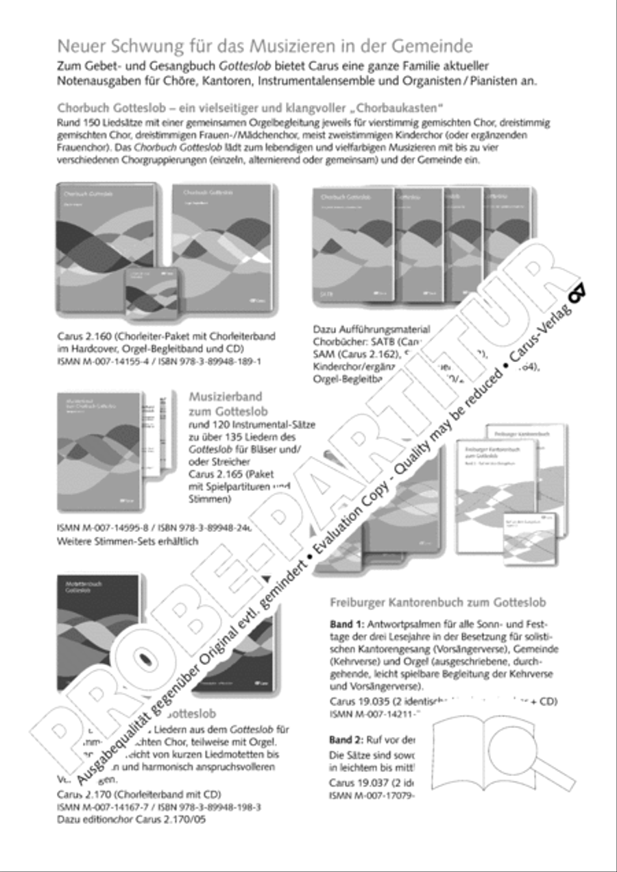 Gitarrenbuch zum Gotteslob Guitar scores gallery preview page 231