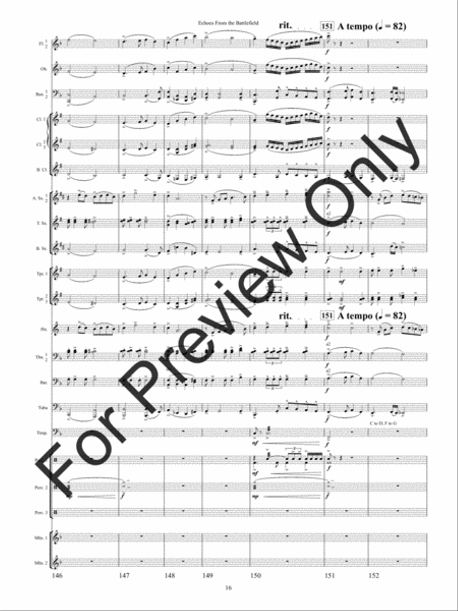 Echoes from the Battlefield (Score) Concert Band scores gallery preview page 19