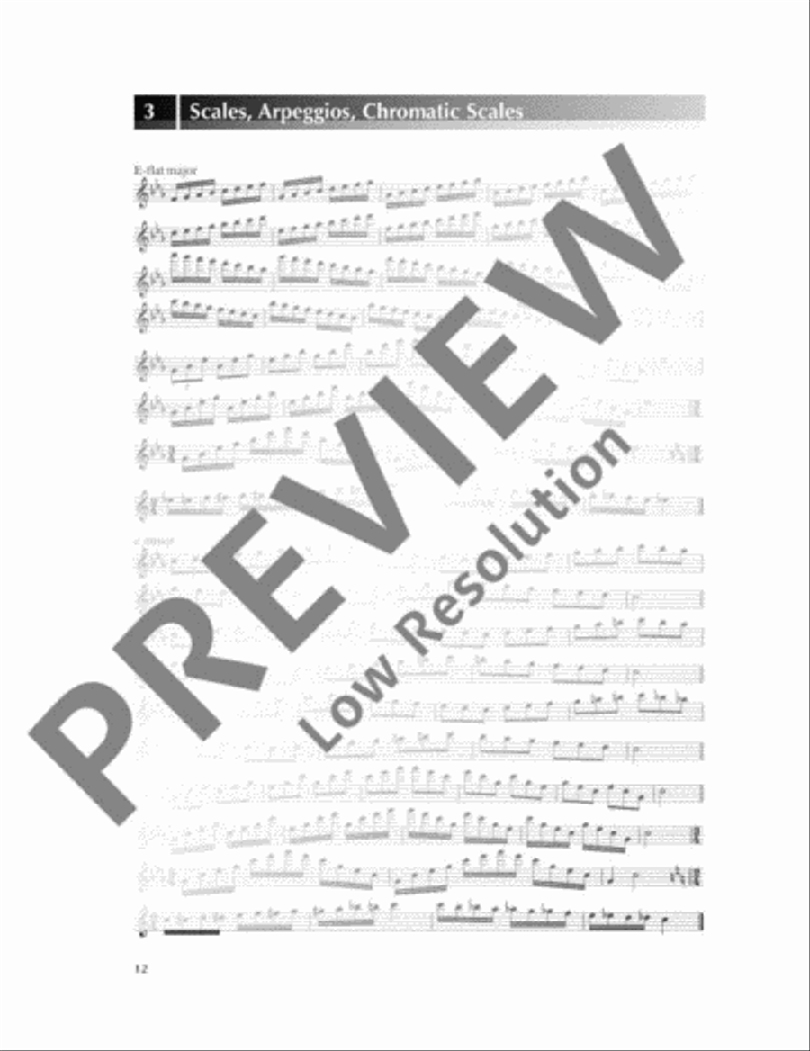Advanced Recorder Technique Soprano Recorder scores gallery preview page 13