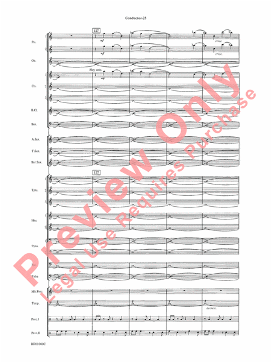 Chant Rituals Chant Rituals Concert Band scores gallery preview page 28