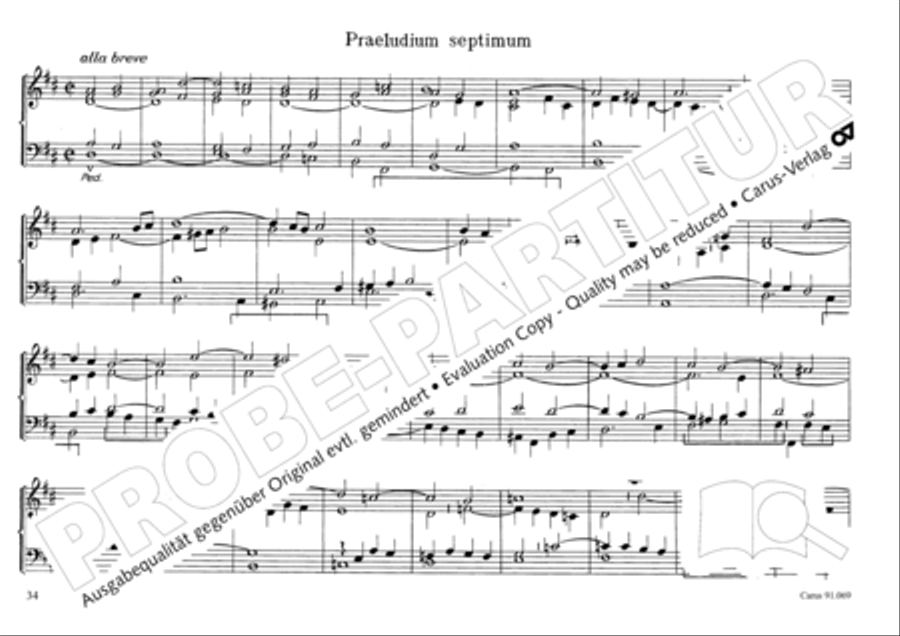 Musikalischer Blumenstrauss Organ Solo scores gallery preview page 37