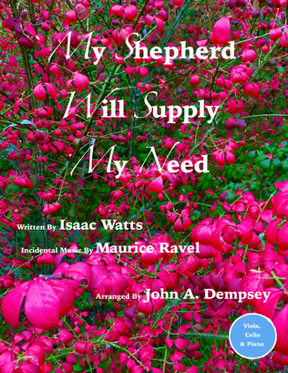 Book cover for My Shepherd Will Supply My Need (Psalm 23): Trio for Viola, Cello and Piano