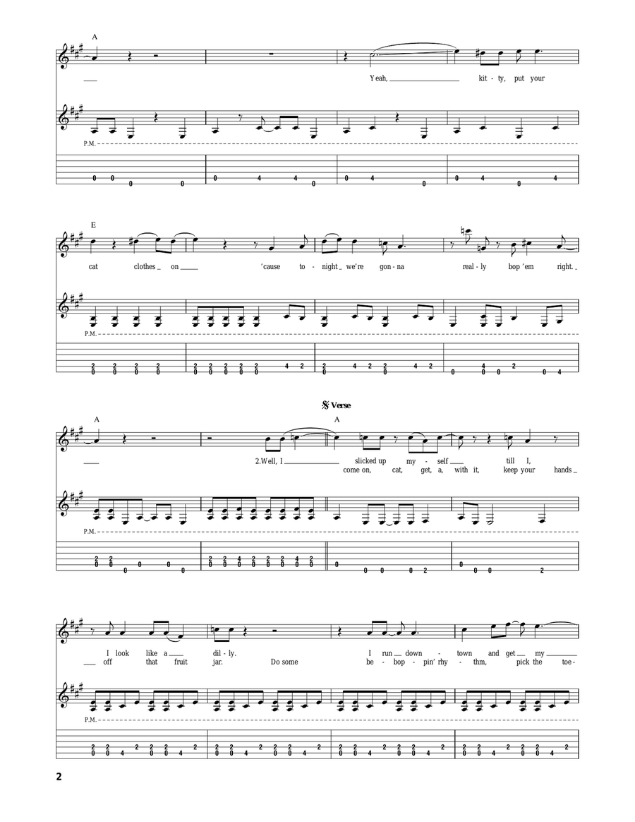 Put Your Cat Clothes On Acoustic Guitar scores gallery preview page 2