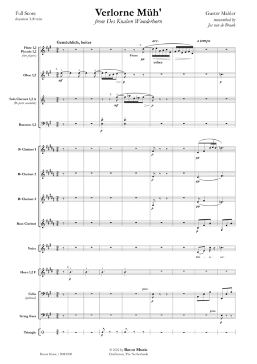 Verlorne Müh' Concert Band scores gallery preview page 2