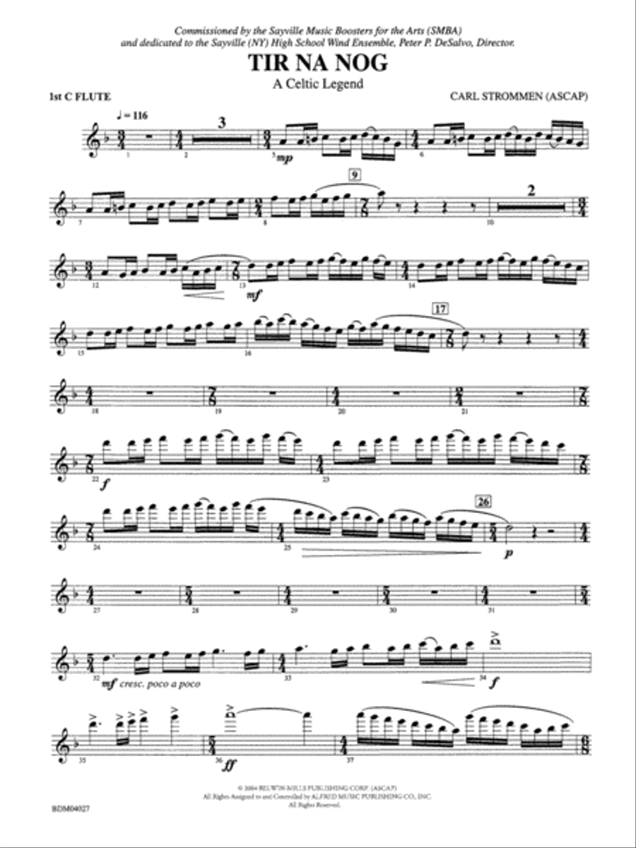 Tir Na Nog (A Celtic Legend): Flute Concert Band scores gallery preview page 1