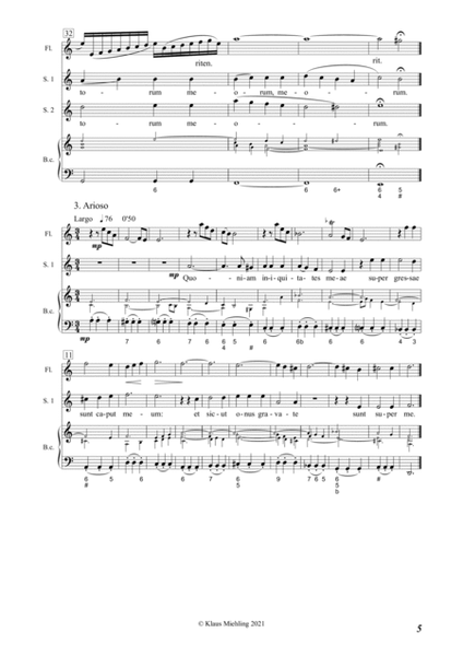 Domine, ne in furore tuo (Psalm 38). Motette für 2 Soprane, Traversflöte und B.c., op. 56 (1995)