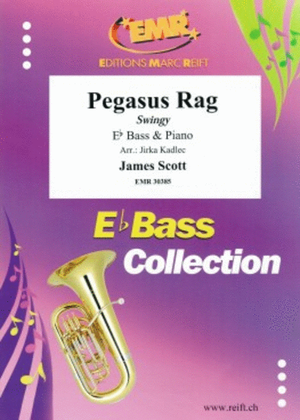 Book cover for Pegasus Rag