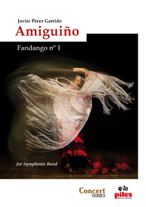 Amiguino/ Score A-4