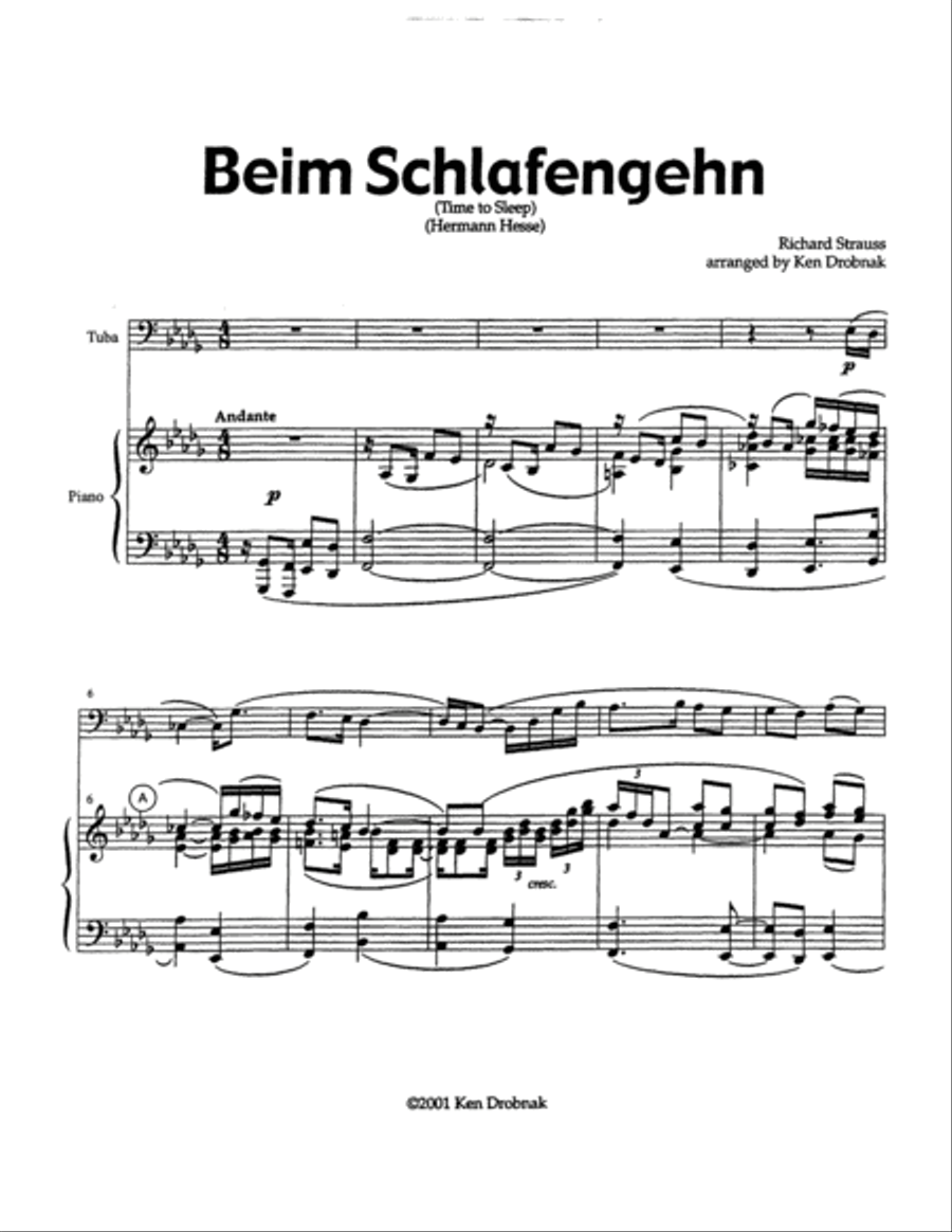 Two Strauss Songs Tuba scores gallery preview page 2