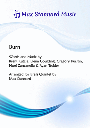 Book cover for Burn