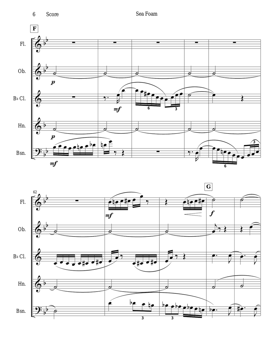 Frank Bridge - Sea-Foam set for woodwind quintet Woodwind Quintet scores gallery preview page 6