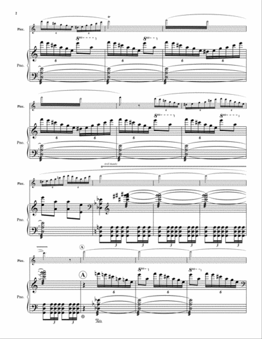 Concerto for Piccolo Piccolo scores gallery preview page 3