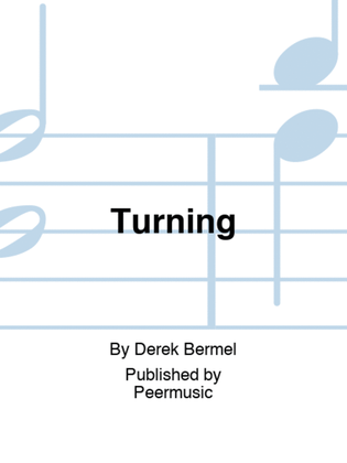 Book cover for Turning