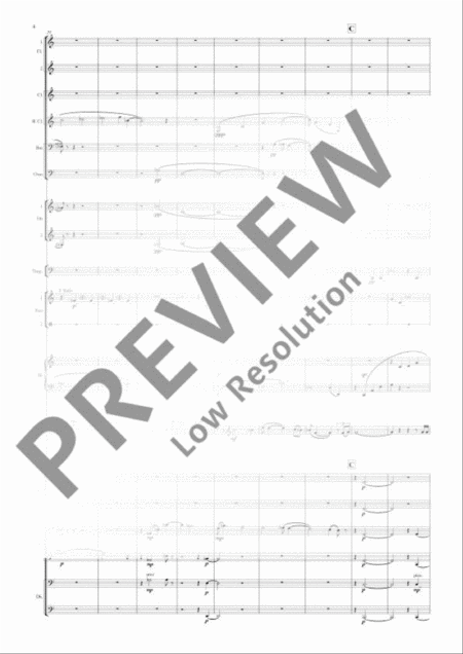 Double Bass Concerto Double Bass Concerto 3-Part scores gallery preview page 9