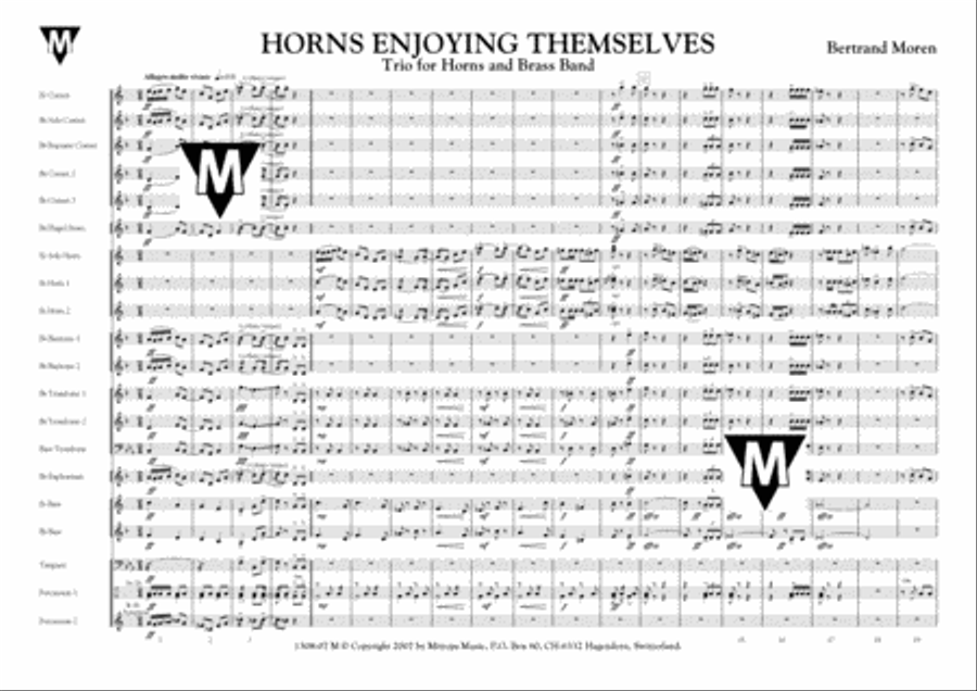 Horns Enjoying Themselves Brass Band scores gallery preview page 2