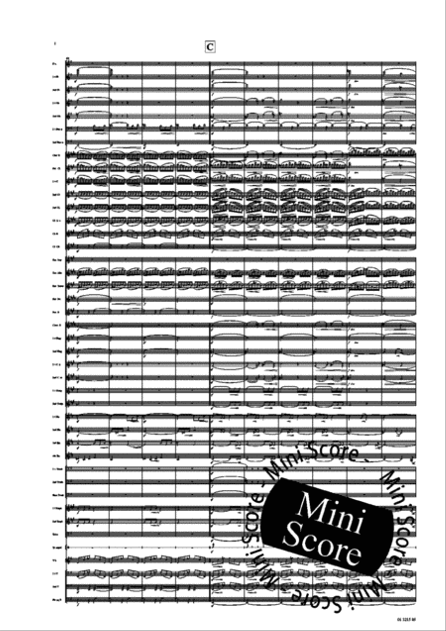 Ma Vlast Concert Band scores gallery preview page 14