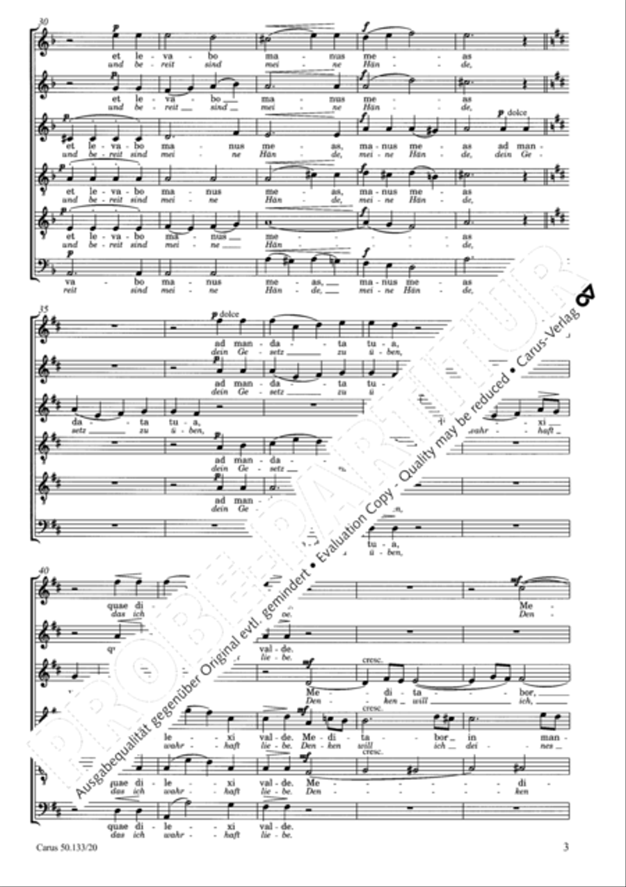 Meditabor Choir scores gallery preview page 4