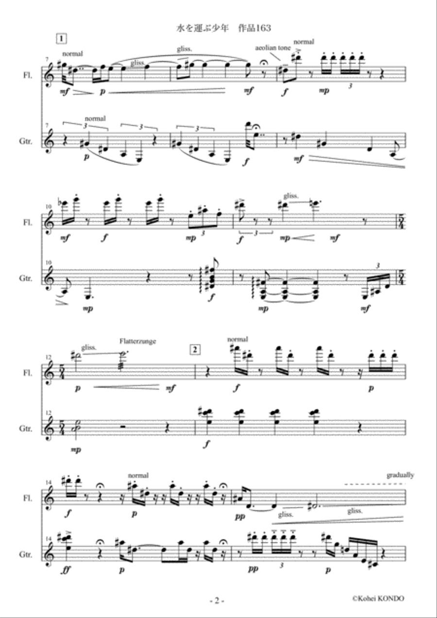 Trail to the water place Op.163 Duet for Flute and Guitar image number null